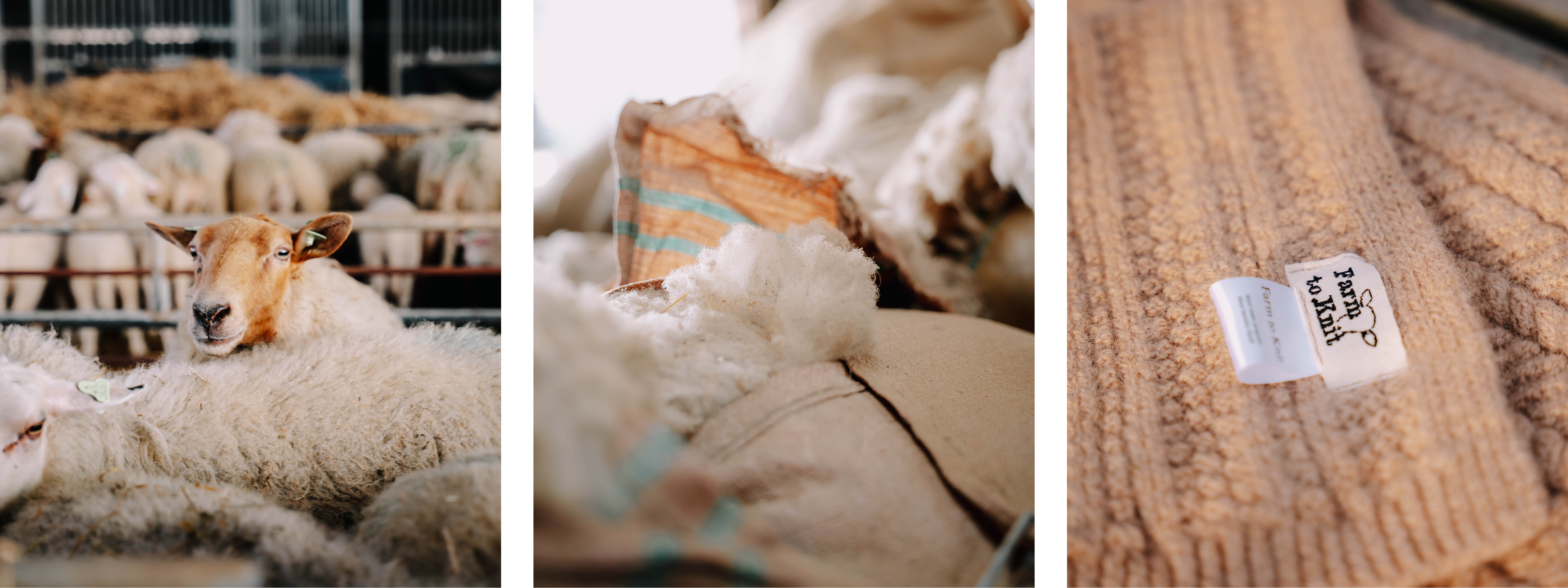 van schaap naar sjaal