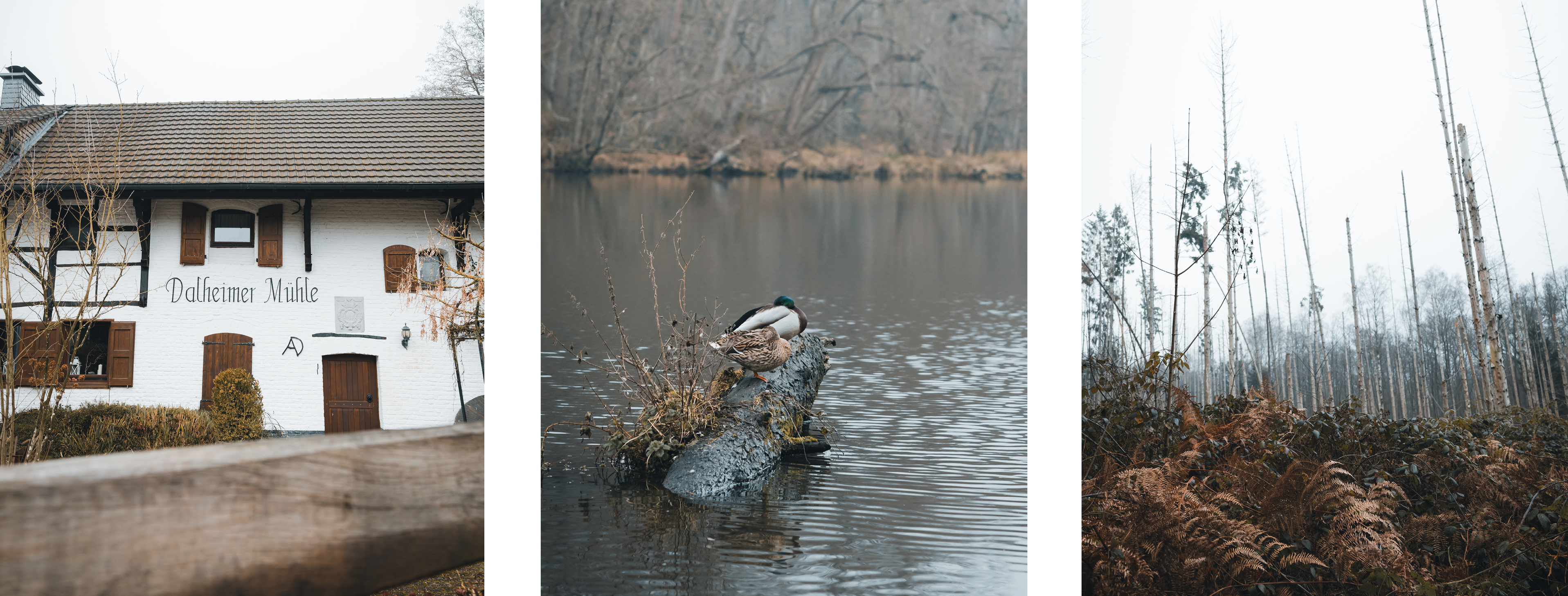 Drieluik met een watermolen, een eend op een boomstam in het water en een open boslandschap met kale bomen.