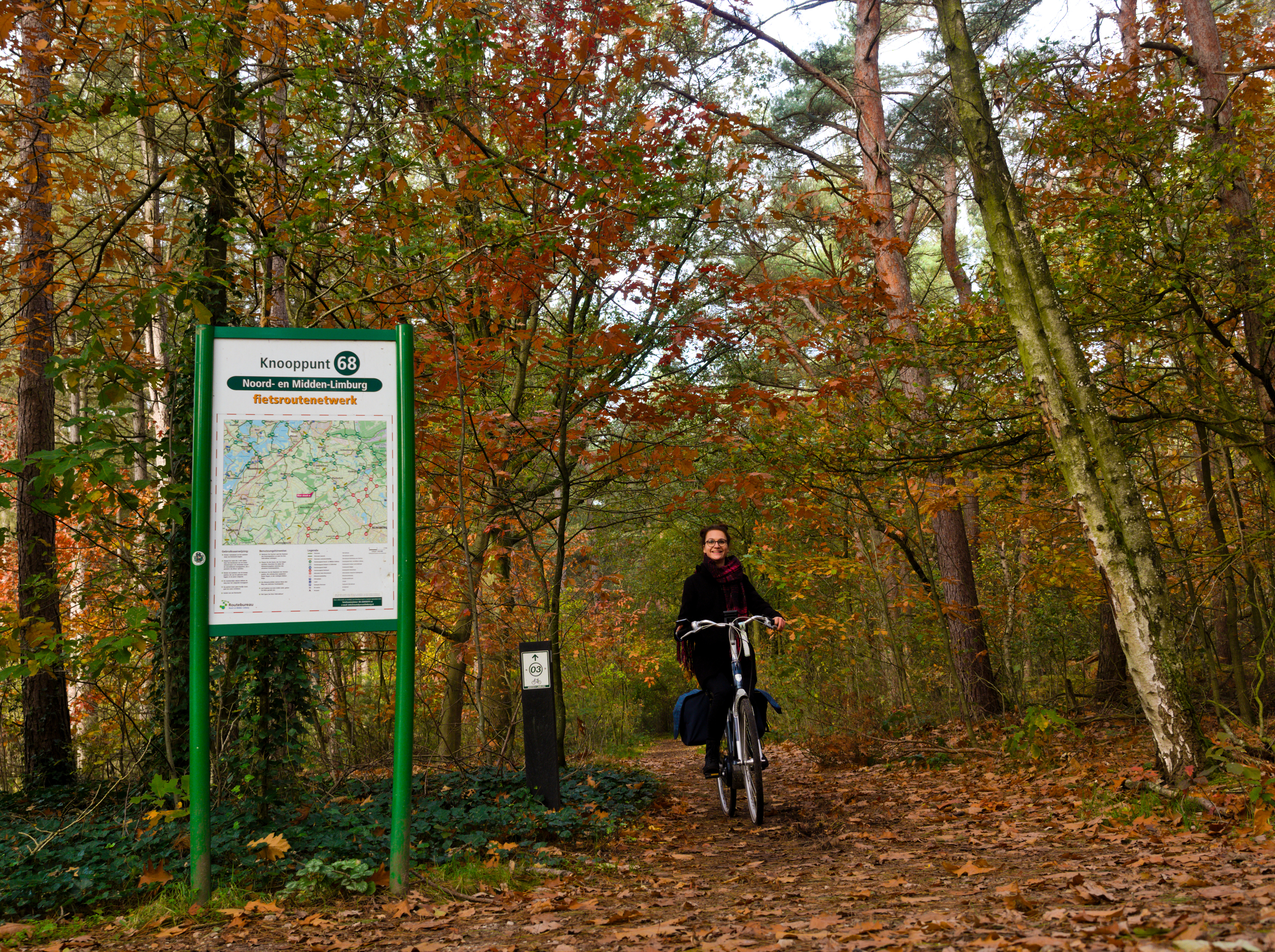 A woman is cycling along a forest path. Next to her, a junction of the cycling route network is visible.