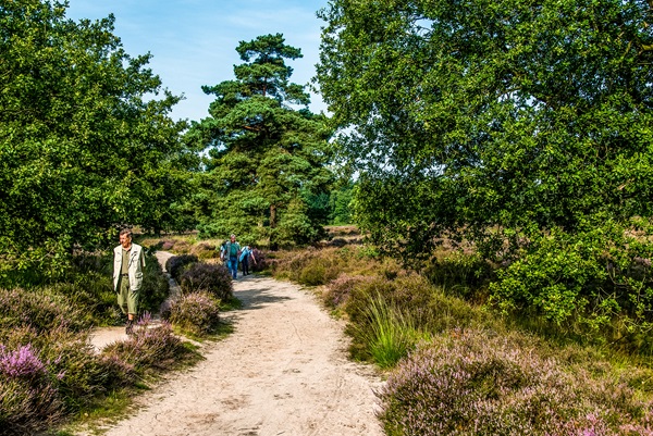 Mensen wandelen door de mooie natuur van Roerdalen onder leiding van een gids